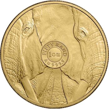 50 Rand oro ELEPHANT 2023 - 1 oncia - SUDAFRICA